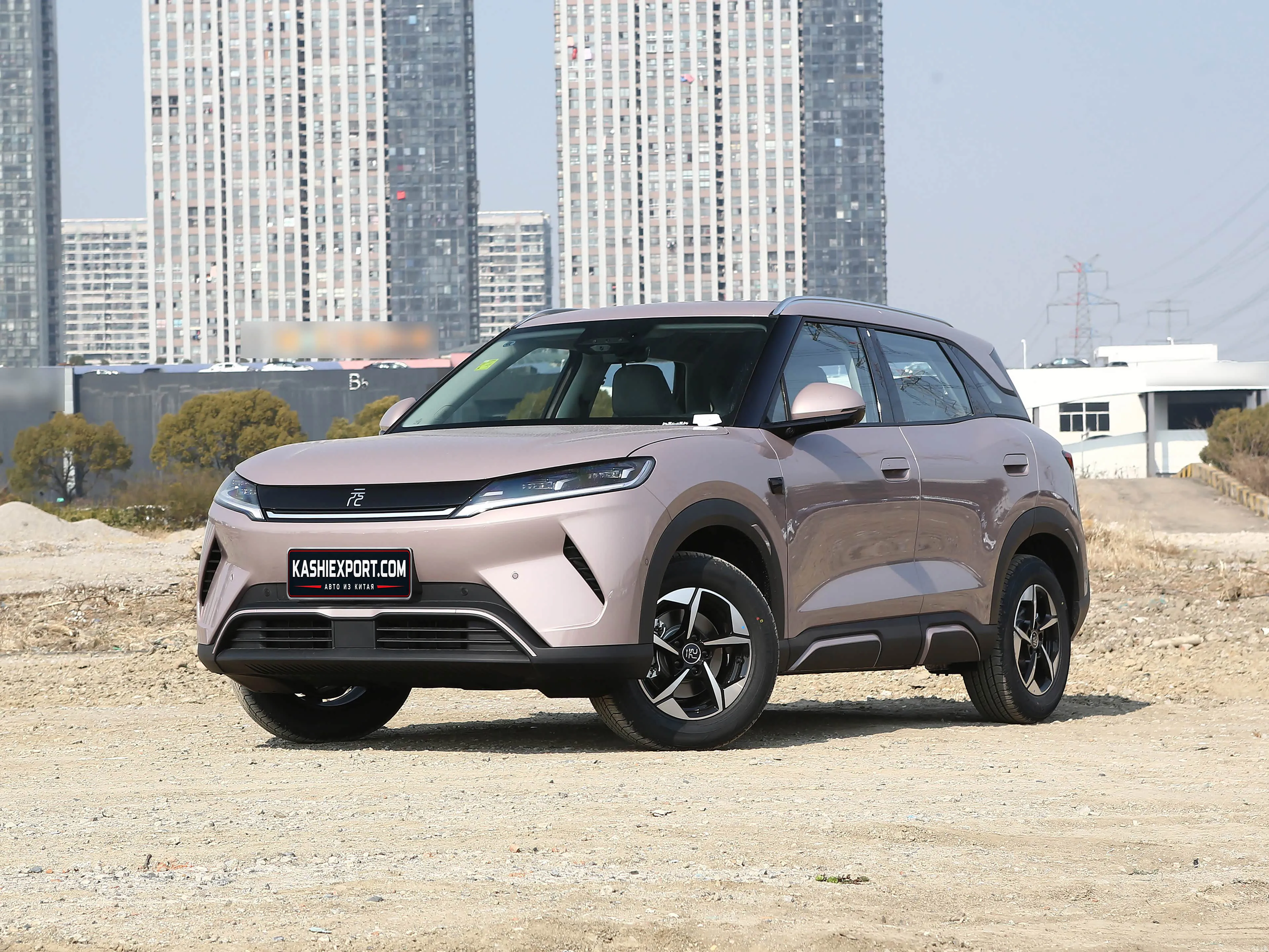 BYD Yuan UP оптом из Китая в Центральную Азию